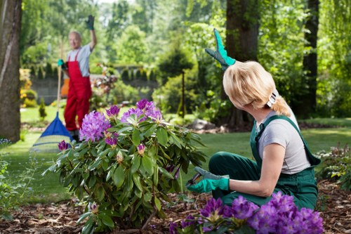 Gardener team starting a front garden tidy in Finchley