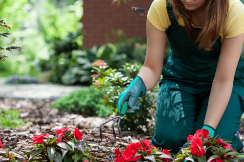 Final beautiful garden project by Gardeners Finchley